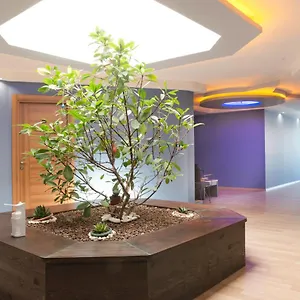 Otel My